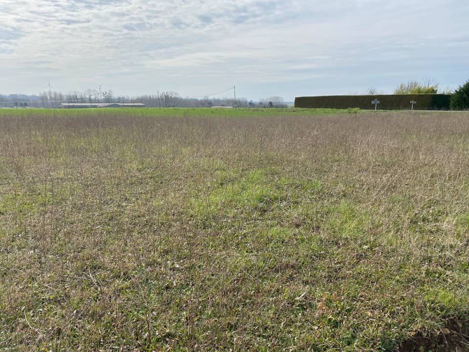 Terrain - Terrain à bâtir Archingeay (17380) à Archingeay, prix 65 000 €