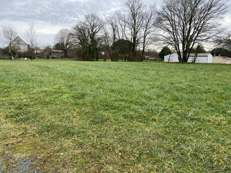 Terrain - Terrain à bâtir Bussac-sur-Charente (17100) à Bussac-sur-Charente, prix 38 880 €