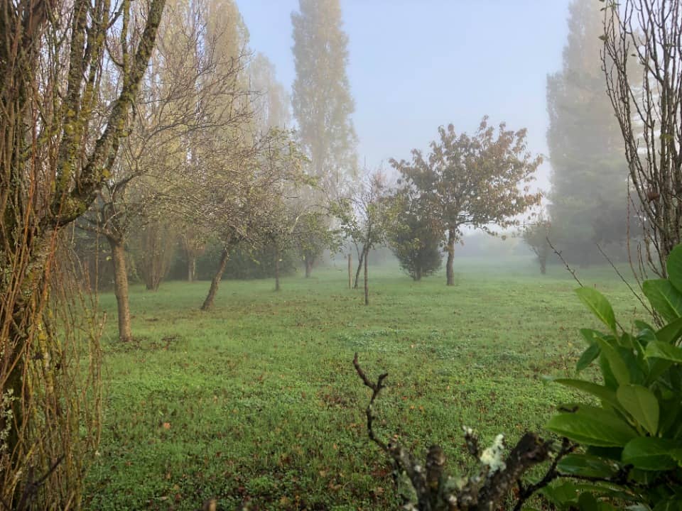 Terrain - Terrain à bâtir Saintes (17100) à Saintes, prix 106 000 €