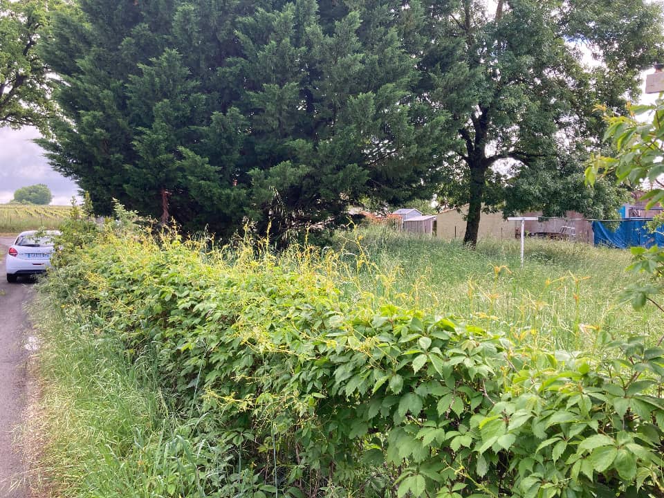 Terrain - Terrain à bâtir Chaniers (17610) à Chaniers (17), prix 30 200 €