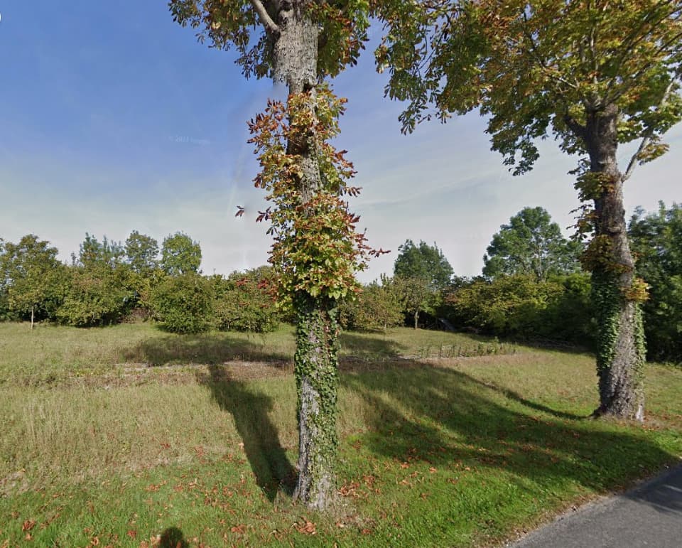 Terrain - Terrain à bâtir Lonzac (17520) à Lonzac (17), prix 23 500 €