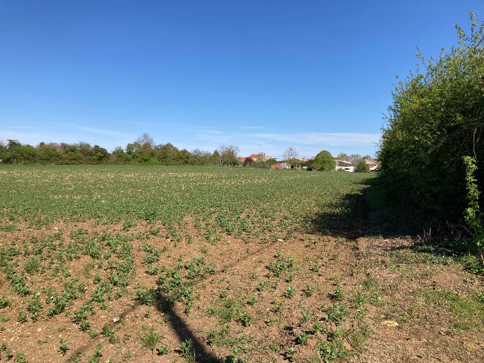 Terrain - Terrain à bâtir Champagnolles (17240) à Champagnolles (17), prix 39 900 €