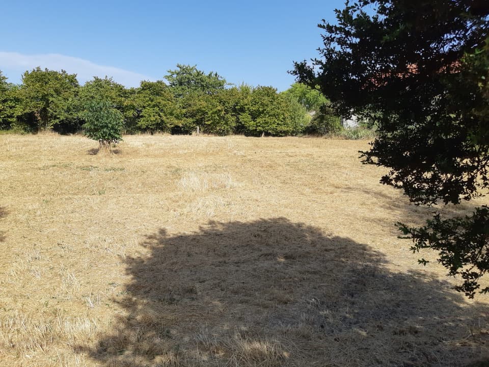 Terrain - Terrain à bâtir Matha (17160) à Matha (17), prix 59 500 €