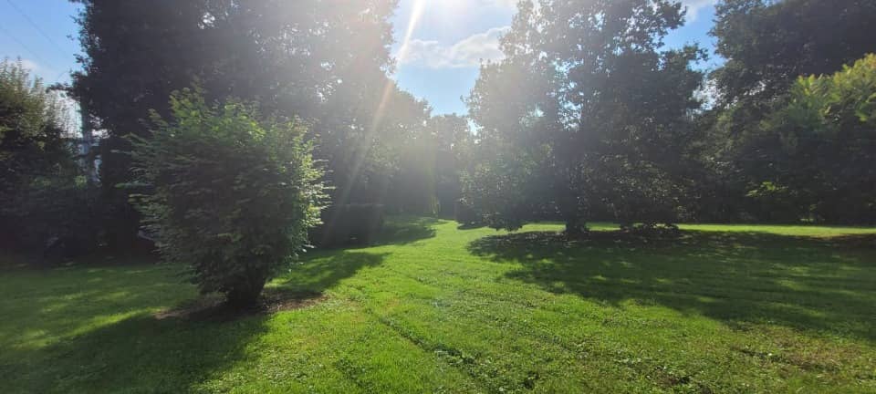 Terrain - Terrain à bâtir Lizy-sur-Ourcq (77440) à Lizy-sur-Ourcq (77), prix 66 000 €