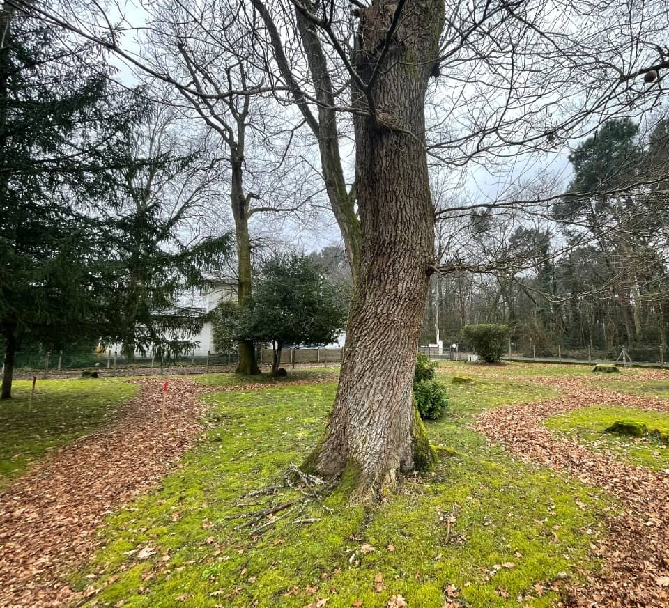 Terrain - Terrain à bâtir Gradignan (33170) à Gradignan (33), prix 217 000 €