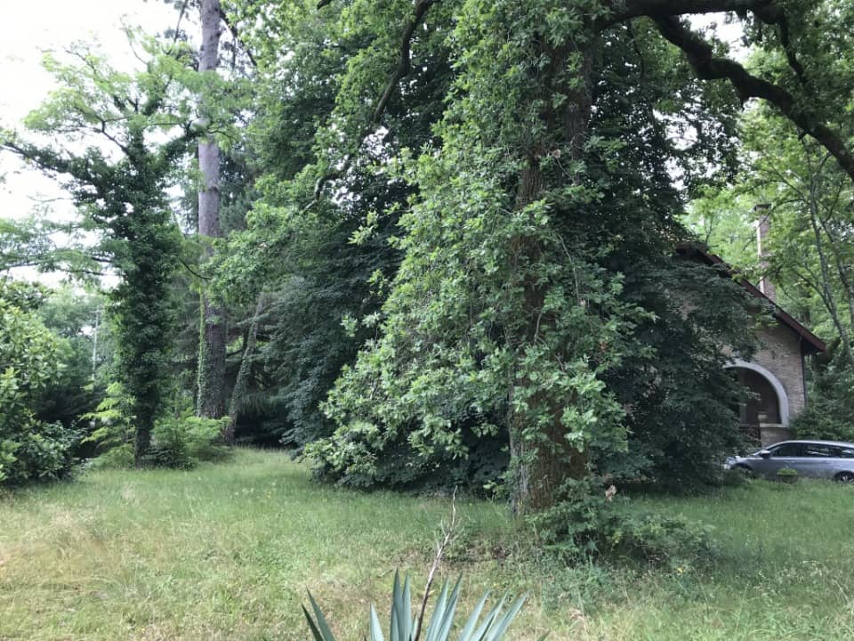 Terrain - Terrain à bâtir Gradignan (33170) à Gradignan, prix 235 000 €