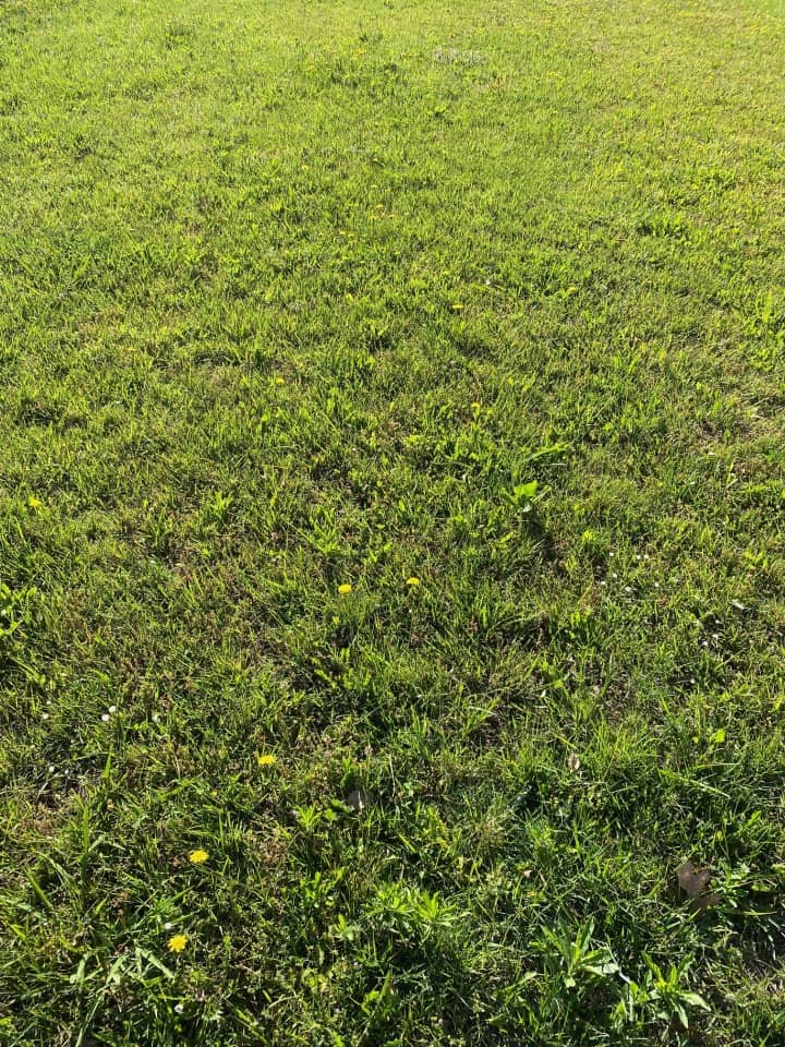 Terrain - Terrain à bâtir Le Tuzan (33125) à Le Tuzan, prix 66 000 €