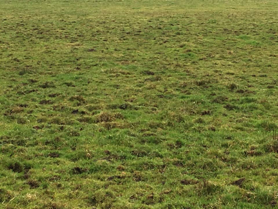 Terrain - Terrain à bâtir Marboz (01851) à Marboz (18), prix 59 000 €