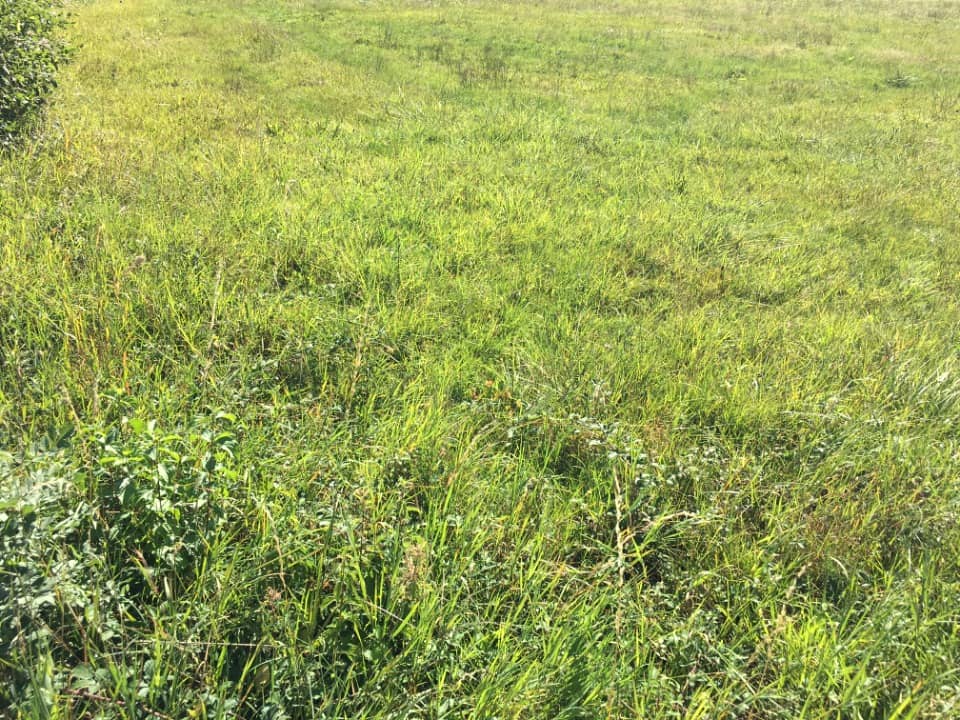 Terrain - Terrain à bâtir Coligny (01270) à Coligny, prix 46 000 €