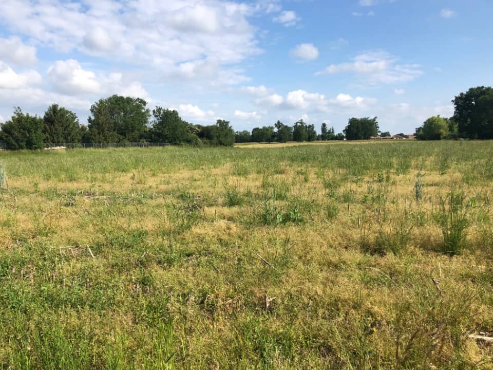 Terrain - Terrain à bâtir Gorrevod (01190) à Gorrevod (11), prix 43 000 €