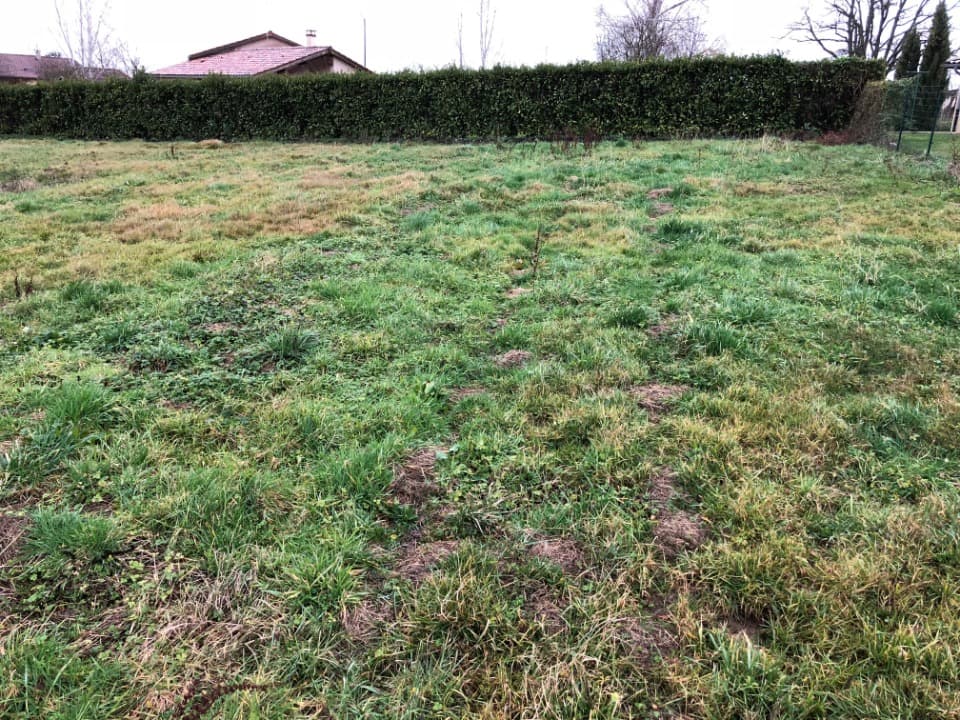 Terrain - Terrain à bâtir Saint-Étienne-sur-Chalaronne (01140) à Saint-Étienne-sur-Chalaronne (11), prix 75 000 €