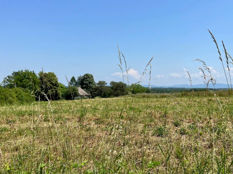 Terrain - Terrain à bâtir Montcet (01310) à Montcet (13), prix 69 000 €