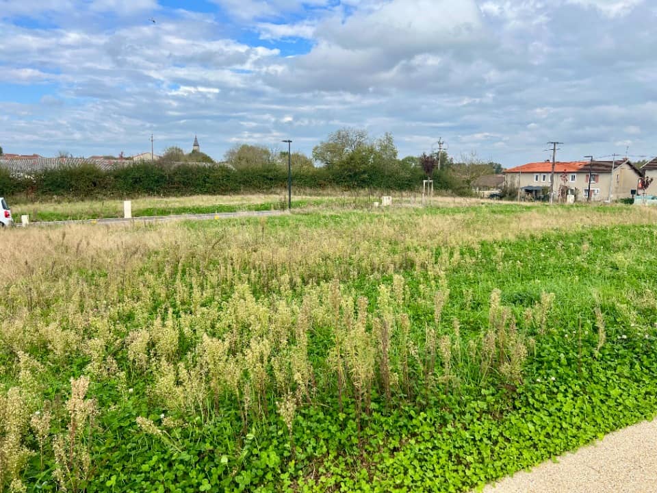 Terrain - Terrain à bâtir Saint-Paul-de-Varax (01240) à Saint-Paul-de-Varax (12), prix 82 000 €