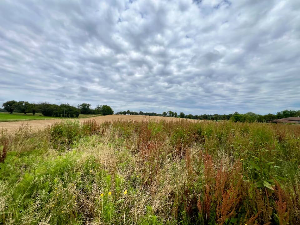 Terrain - Terrain à bâtir Saint-Martin-le-Châtel (01310) à Saint-Martin-le-Châtel (13), prix 55 000 €