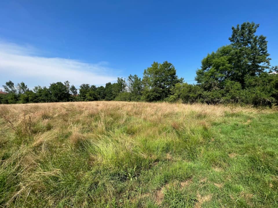 Terrain - Terrain à bâtir Confrançon (01310) à Confrançon (13), prix 74 250 €