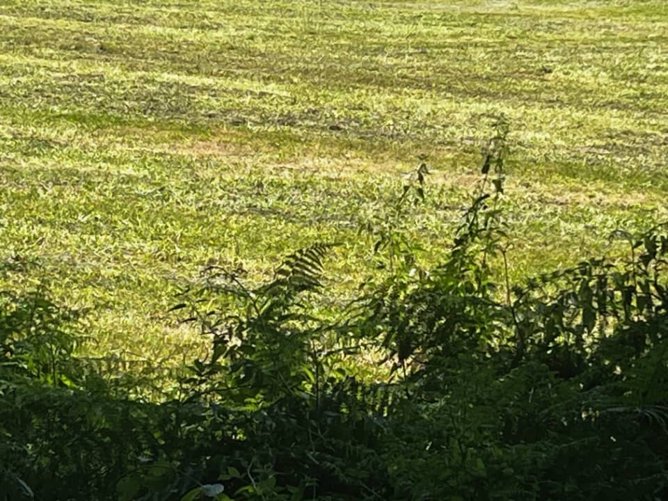 Terrain - Terrain à bâtir Rochefort (17300) à Rochefort (17), prix 45 000 €