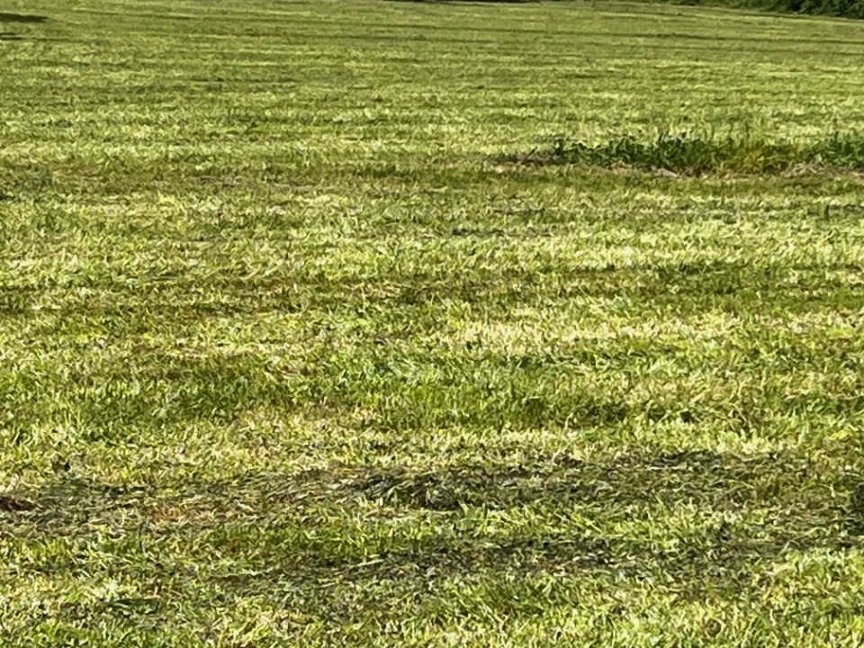 Terrain - Terrain à bâtir  () à Cognac, prix 70 000 €