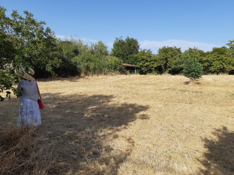 Terrain - Terrain à bâtir Matha (17160) à Matha (17), prix 59 500 €