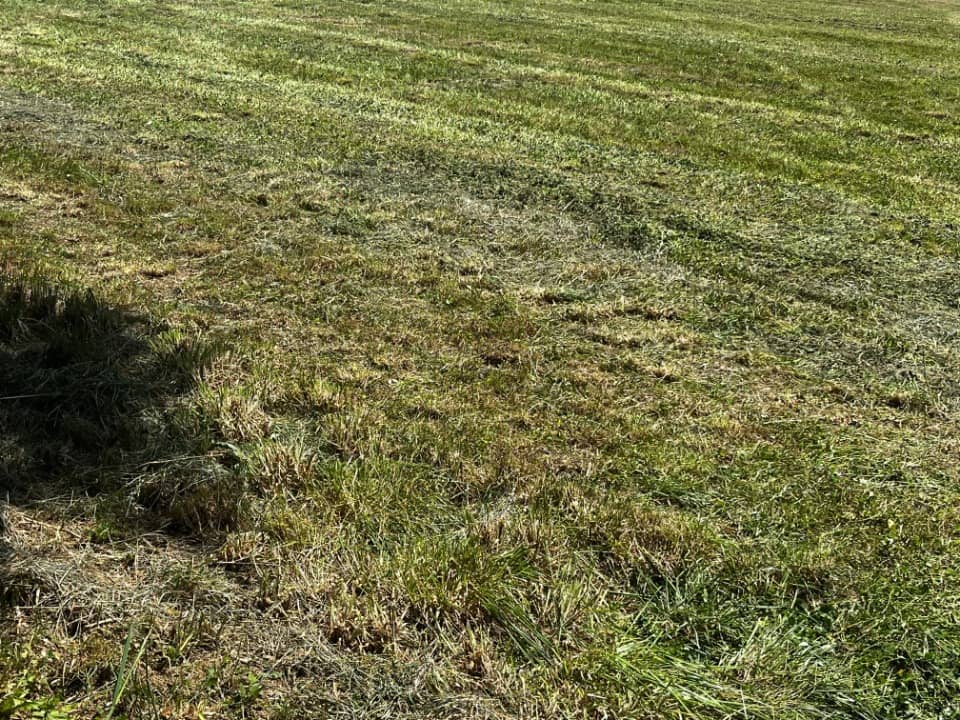 Terrain - Terrain à bâtir Châteauneuf-sur-Charente (16120) à Châteauneuf-sur-Charente, prix 35 200 €