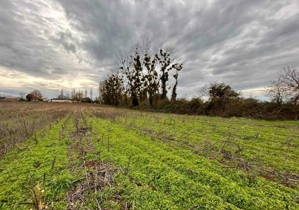 Terrain - Terrain à bâtir () à Écoyeux (17), prix 29 500 €