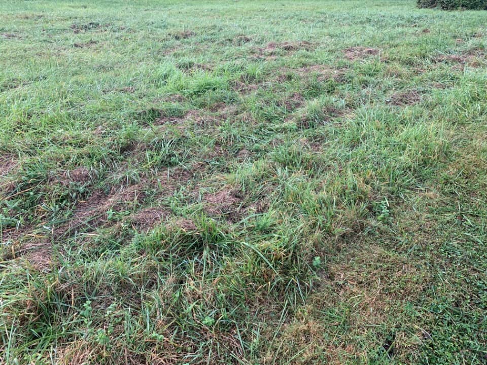 Terrain - Terrain à bâtir () à Salles-d'Angles, prix 38 800 €