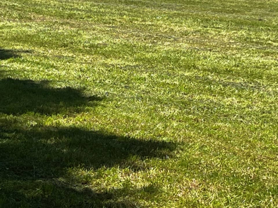 Terrain - Terrain à bâtir Burie (17770) à Burie, prix 30 700 €