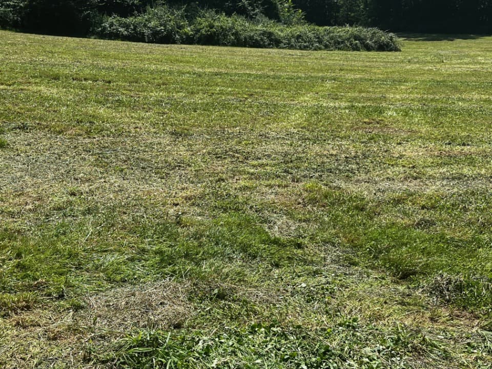 Terrain - Terrain à bâtir Saintes (17100) à Saintes (17), prix 48 500 €