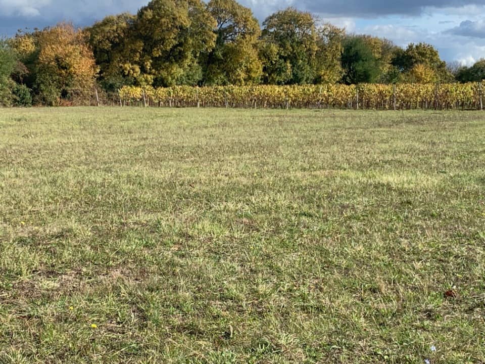 Terrain - Terrain à bâtir Jarnac (16200) à Jarnac (16), prix 43 600 €