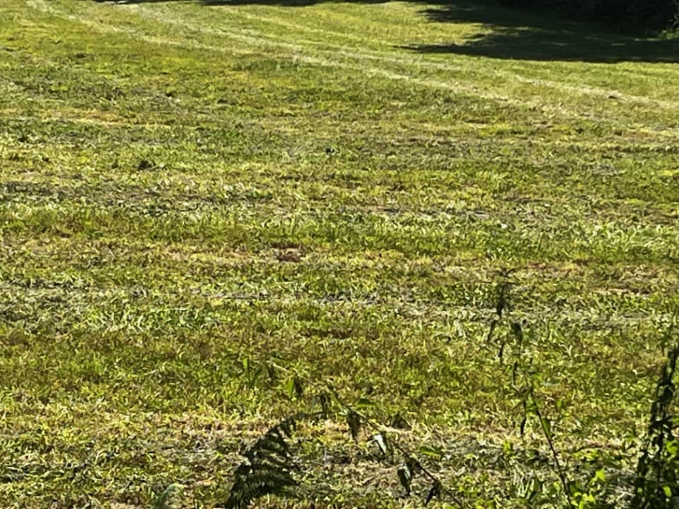 Terrain - Terrain à bâtir Saint-Savinien (17350) à Saint-Savinien (17), prix 37 400 €