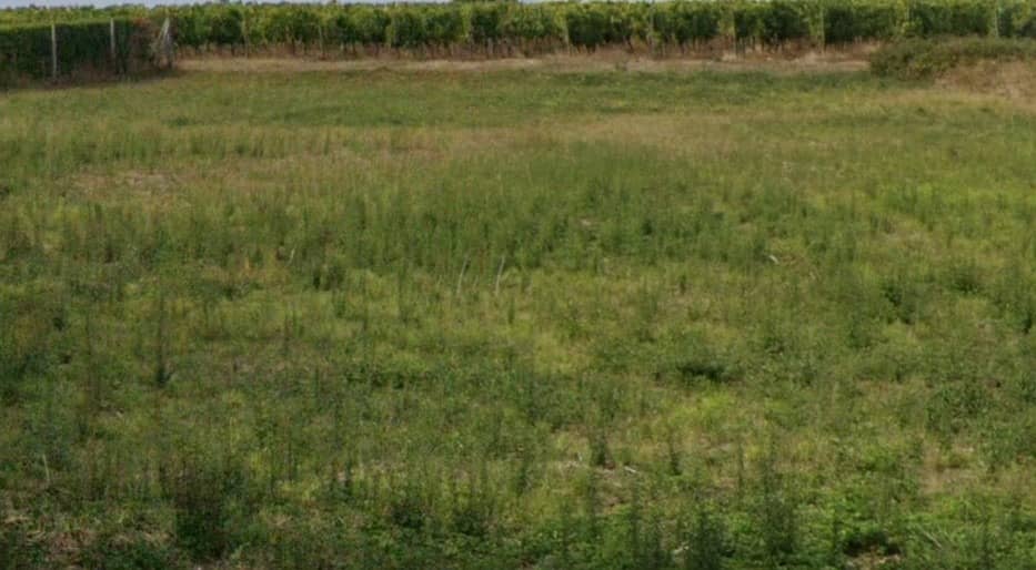 Terrain - Terrain à bâtir Cognac (16100) à Cognac, prix 112 000 €