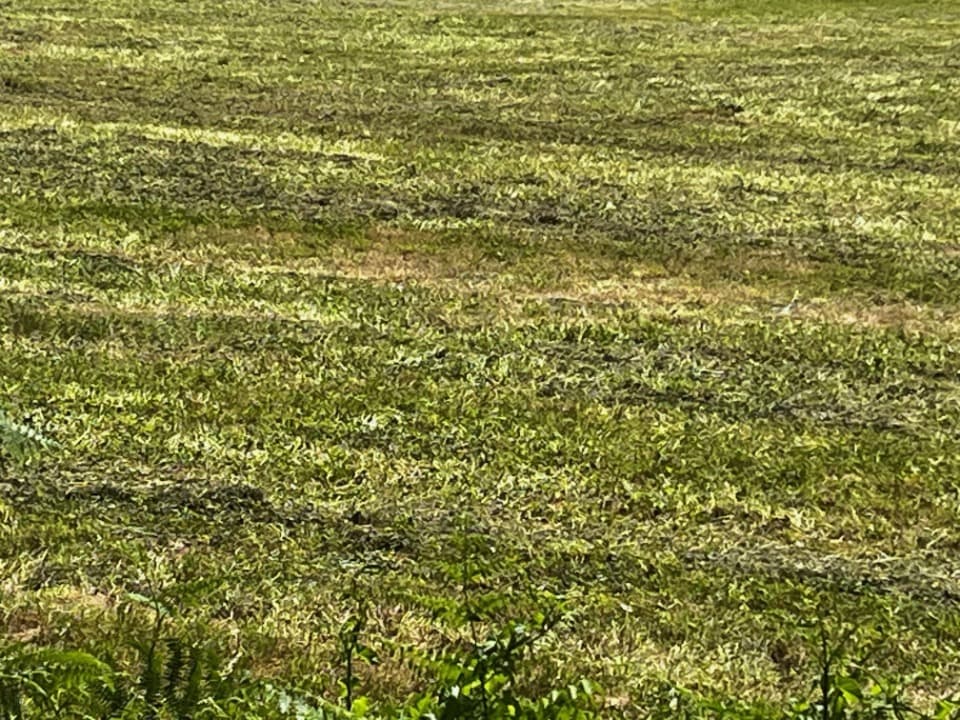 Terrain - Terrain à bâtir Saintes (17100) à Saintes (17), prix 72 500 €