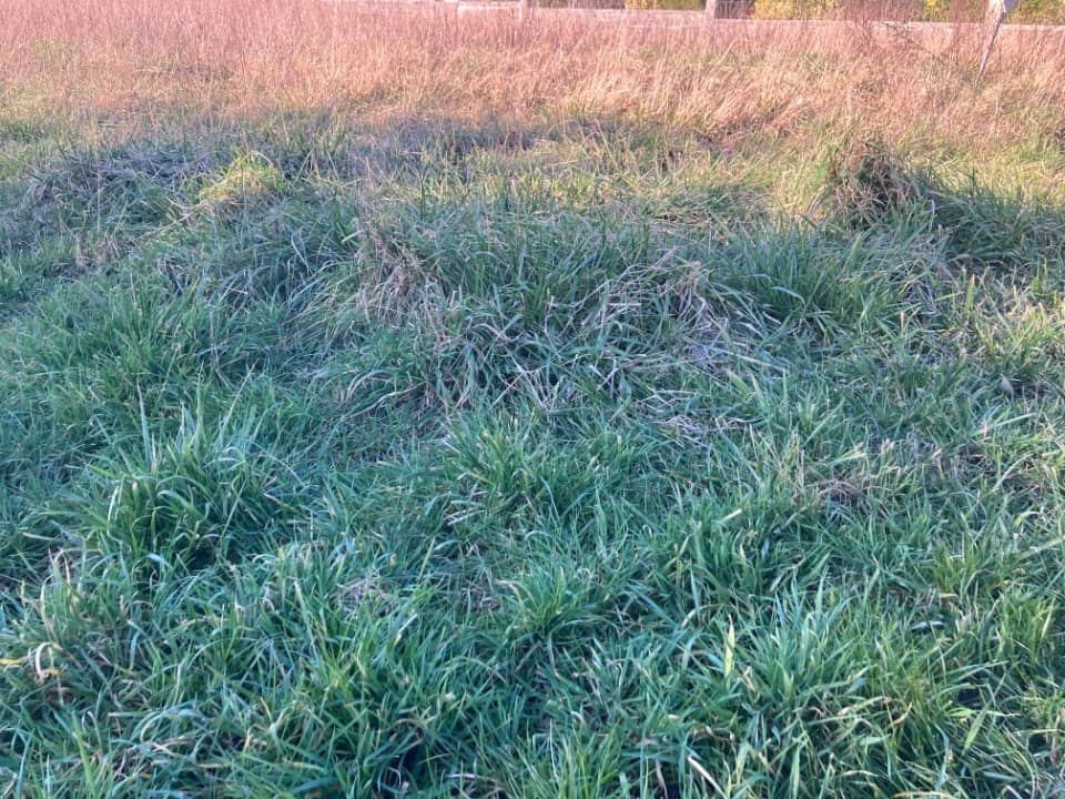 Terrain - Terrain à bâtir Cognac (16100) à Cognac, prix 38 500 €