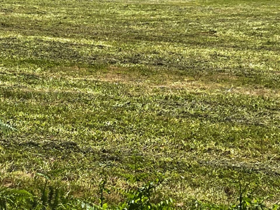 Terrain - Terrain à bâtir Cognac (16100) à Cognac, prix 65 000 €
