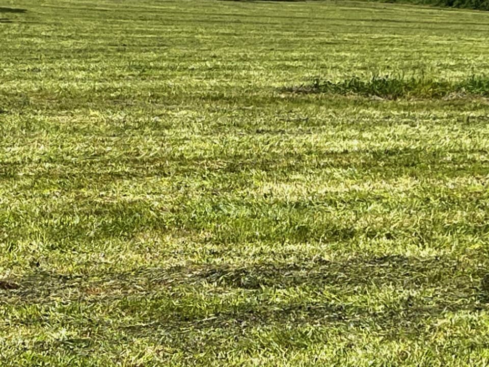 Terrain - Terrain à bâtir Châteaubernard (16100) à Châteaubernard (16), prix 70 000 €