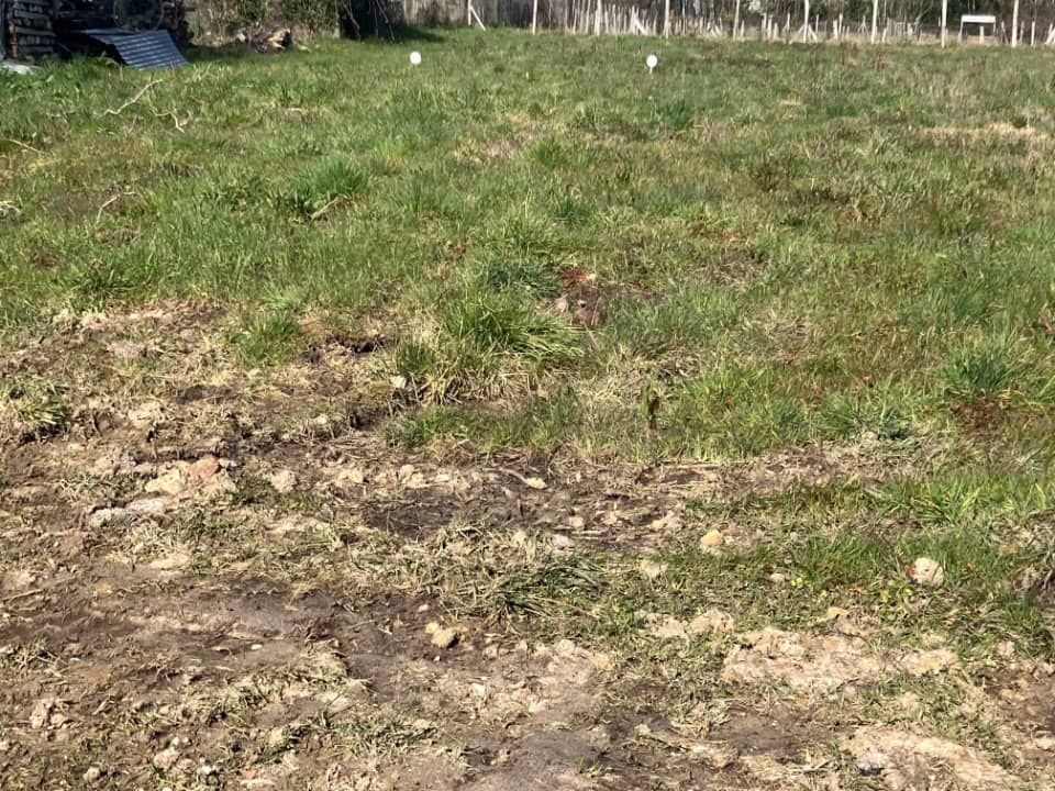 Terrain - Terrain à bâtir Saint-Césaire (17770) à Saint-Césaire, prix 36 800 €