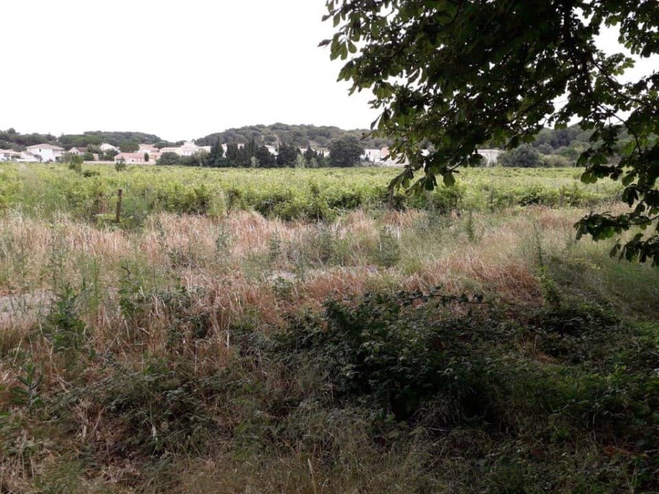 Terrain - Terrain à bâtir Bizanet (11200) à Bizanet, prix 99 900 €