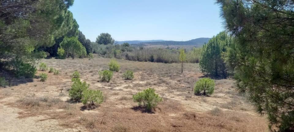 Terrain - Terrain à bâtir Marcorignan (11120) à Marcorignan (11), prix 99 900 €