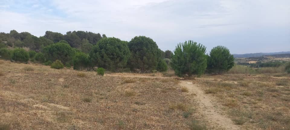 Terrain - Terrain à bâtir Marcorignan (11120) à Marcorignan (11), prix 124 900 €