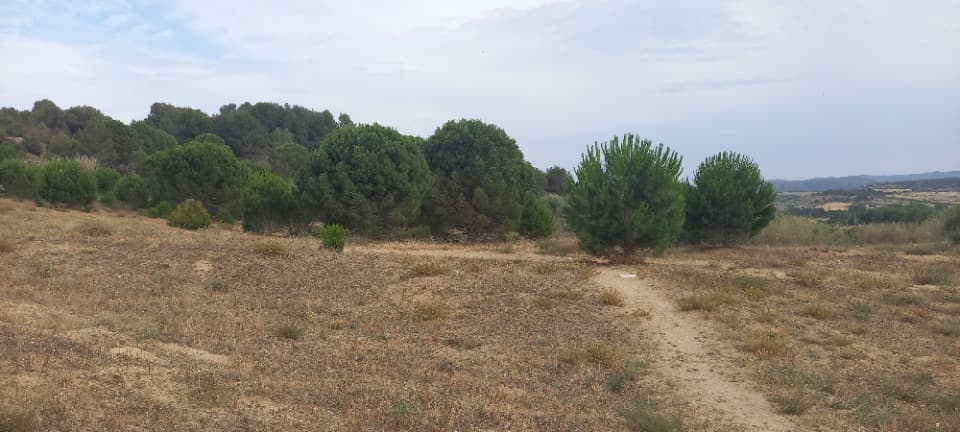 Terrain - Terrain à bâtir Marcorignan (11120) à Marcorignan (11), prix 124 900 €