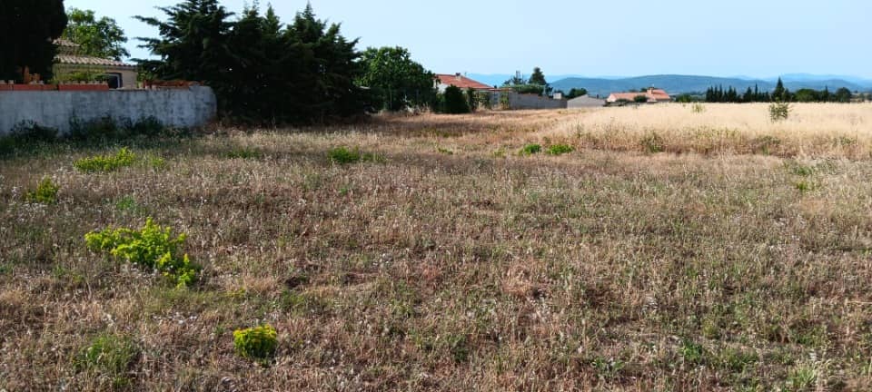 Terrain - Terrain à bâtir Sainte-Valière (11120) à Sainte-Valière (11), prix 59 500 €