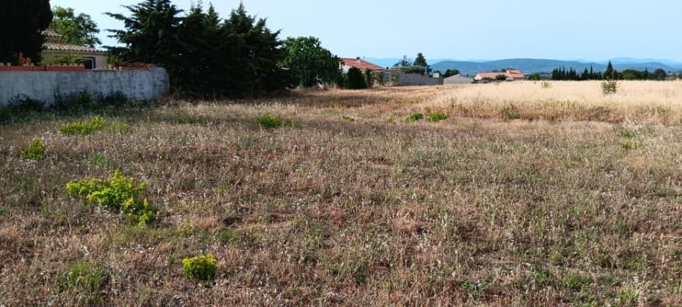 Terrain - Terrain à bâtir Sainte-Valière (11120) à Sainte-Valière (11), prix 59 500 €
