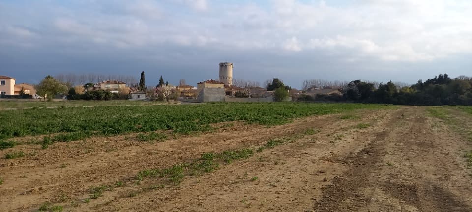 Terrain - Terrain à bâtir Canet (11200) à Canet (11), prix 87 500 €