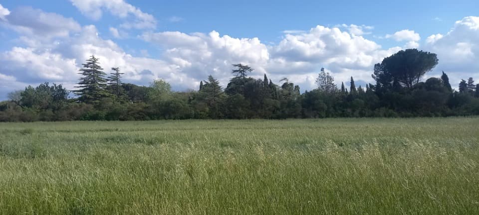 Terrain - Terrain à bâtir Cruscades (11200) à Cruscades (11), prix 85 000 €