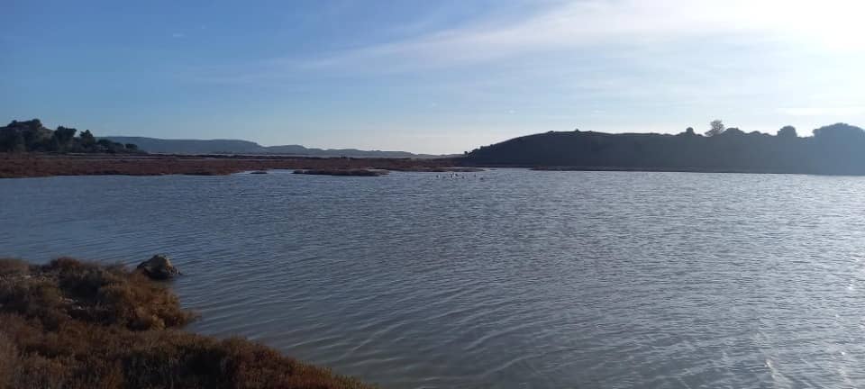 Terrain - Terrain à bâtir Bages (11100) à Bages (11), prix 213 500 €