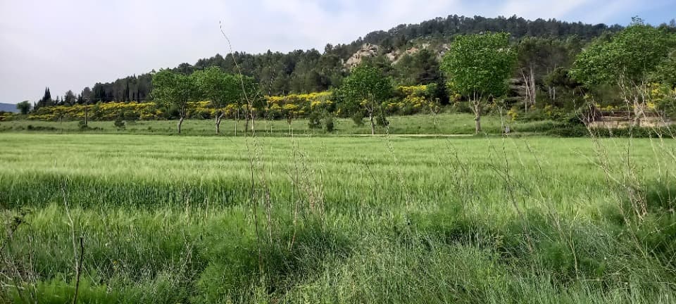 Terrain - Terrain à bâtir Thézan-des-Corbières (11200) à Thézan-des-Corbières (11), prix 106 500 €