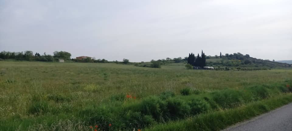 Terrain - Terrain à bâtir Thézan-des-Corbières (11200) à Thézan-des-Corbières (11), prix 86 000 €