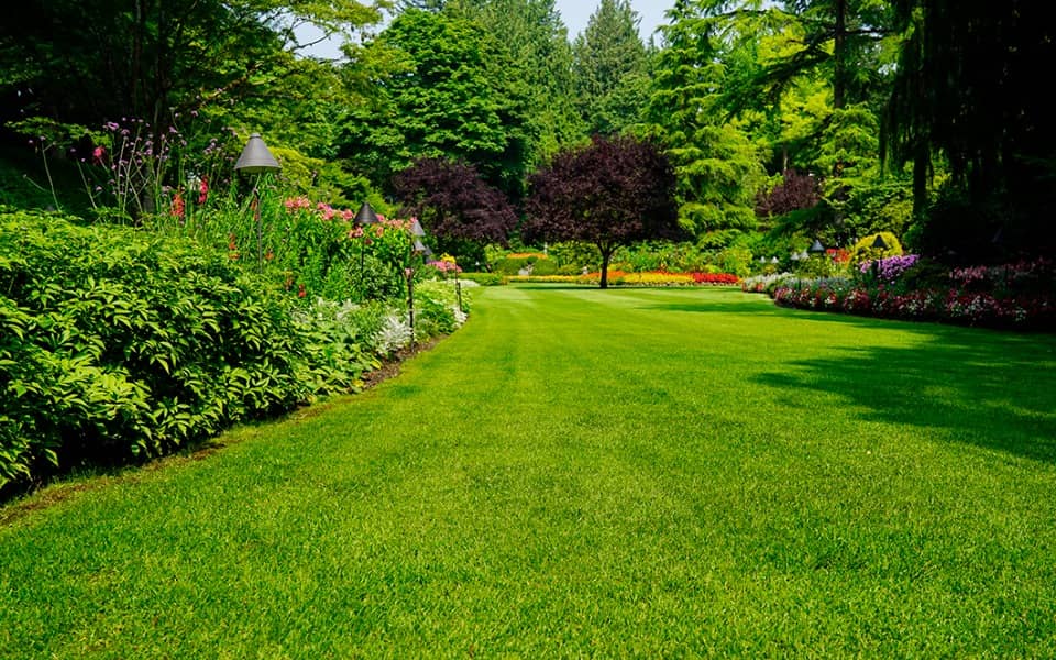 Terrain - Terrain à bâtir Vaux-le-Pénil (77000) à Vaux-le-Pénil (77), prix 160 000 €