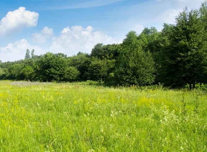 Terrain - Terrain à bâtir Parentis-en-Born (40160) à Parentis-en-Born (40), prix 90 000 €