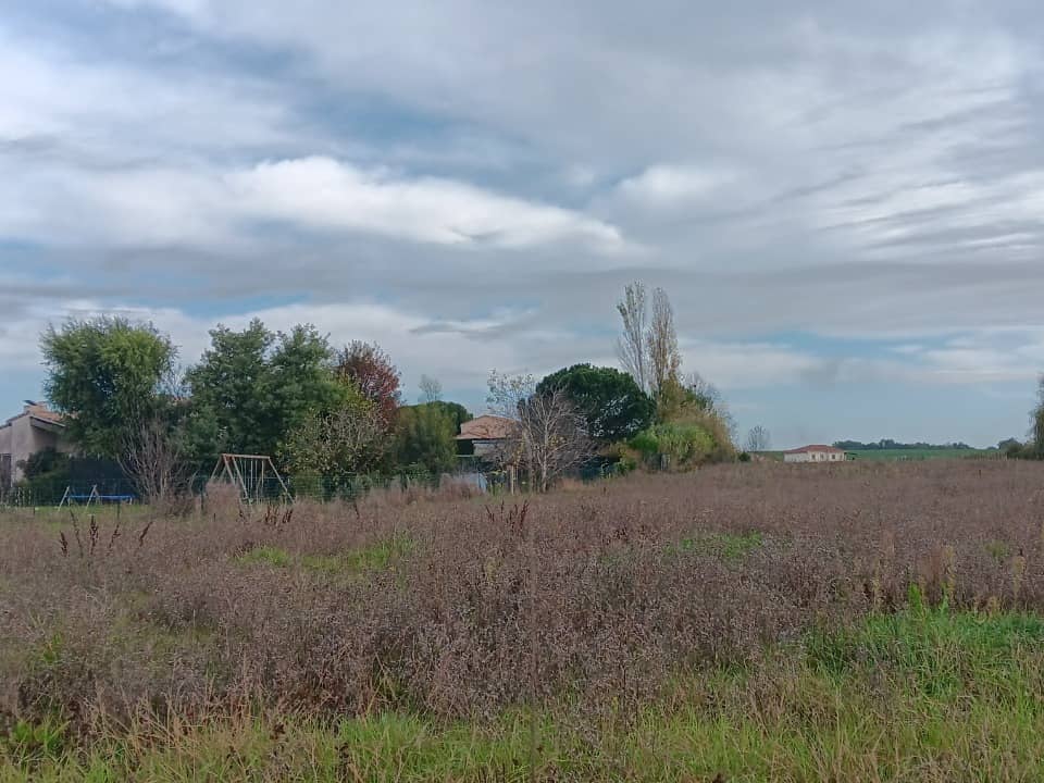 Terrain - Terrain à bâtir Gargas (31620) à Gargas, prix 99 000 €