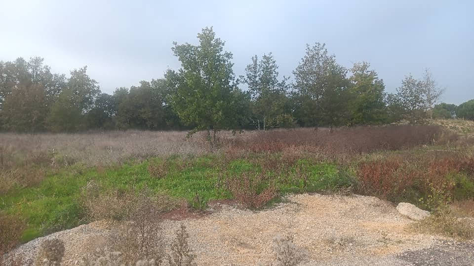 Terrain - Terrain à bâtir Montauban (82000) à Montauban, prix 85 000 €